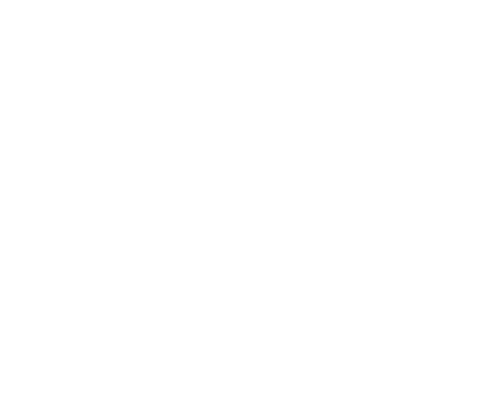Ilardo Wildlife Control Service